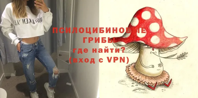 Галлюциногенные грибы MAGIC MUSHROOMS  Заозёрск 